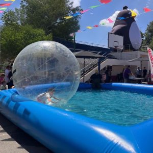 PISCINA-CU-BILE-PE-APA-2-300x300