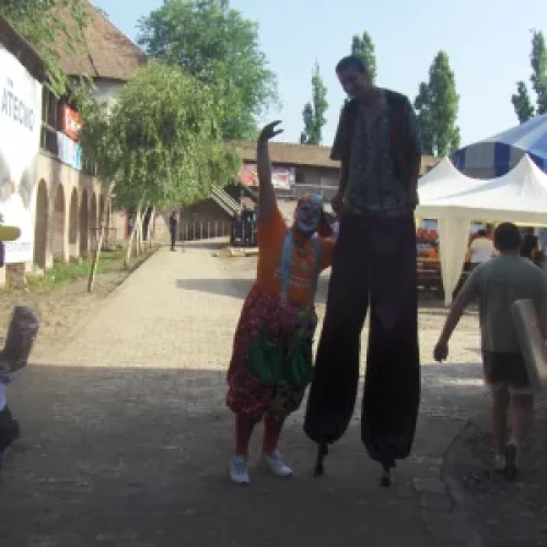 FESTIVALURI-trupa-lui-biluta-6-300x300
